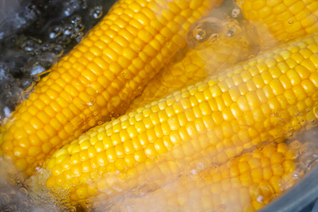 Boiling sweet corn cobs